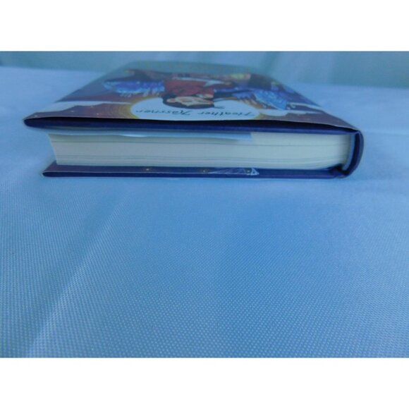 The Plentiful Darkness Heather Kassner Middle Grade Fantasy Hardcover Magic Book - Picture 4 of 7